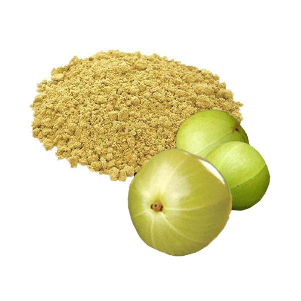 Amla Powder 100g