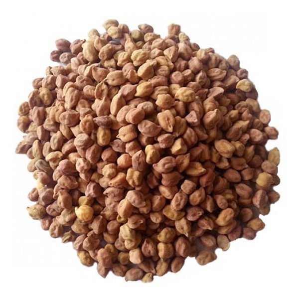 Brown Chana