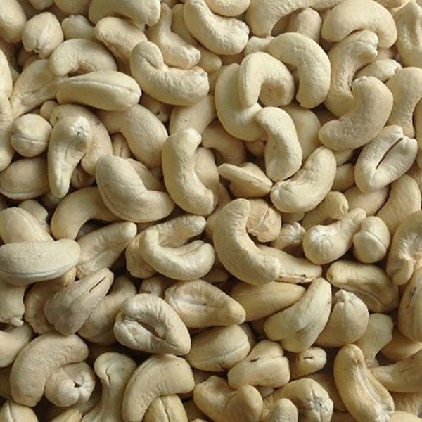 CASHEW (240)